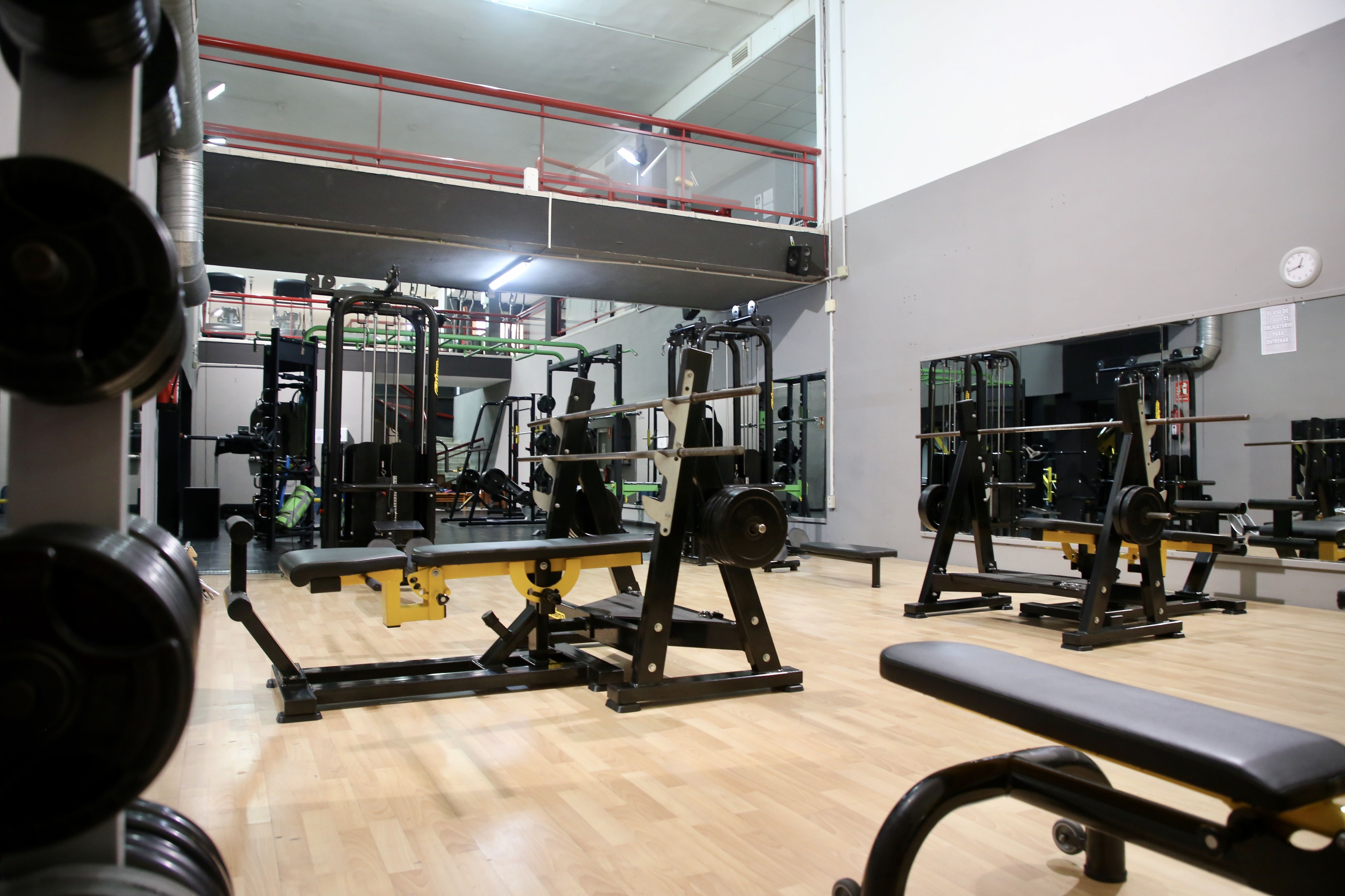 Sport