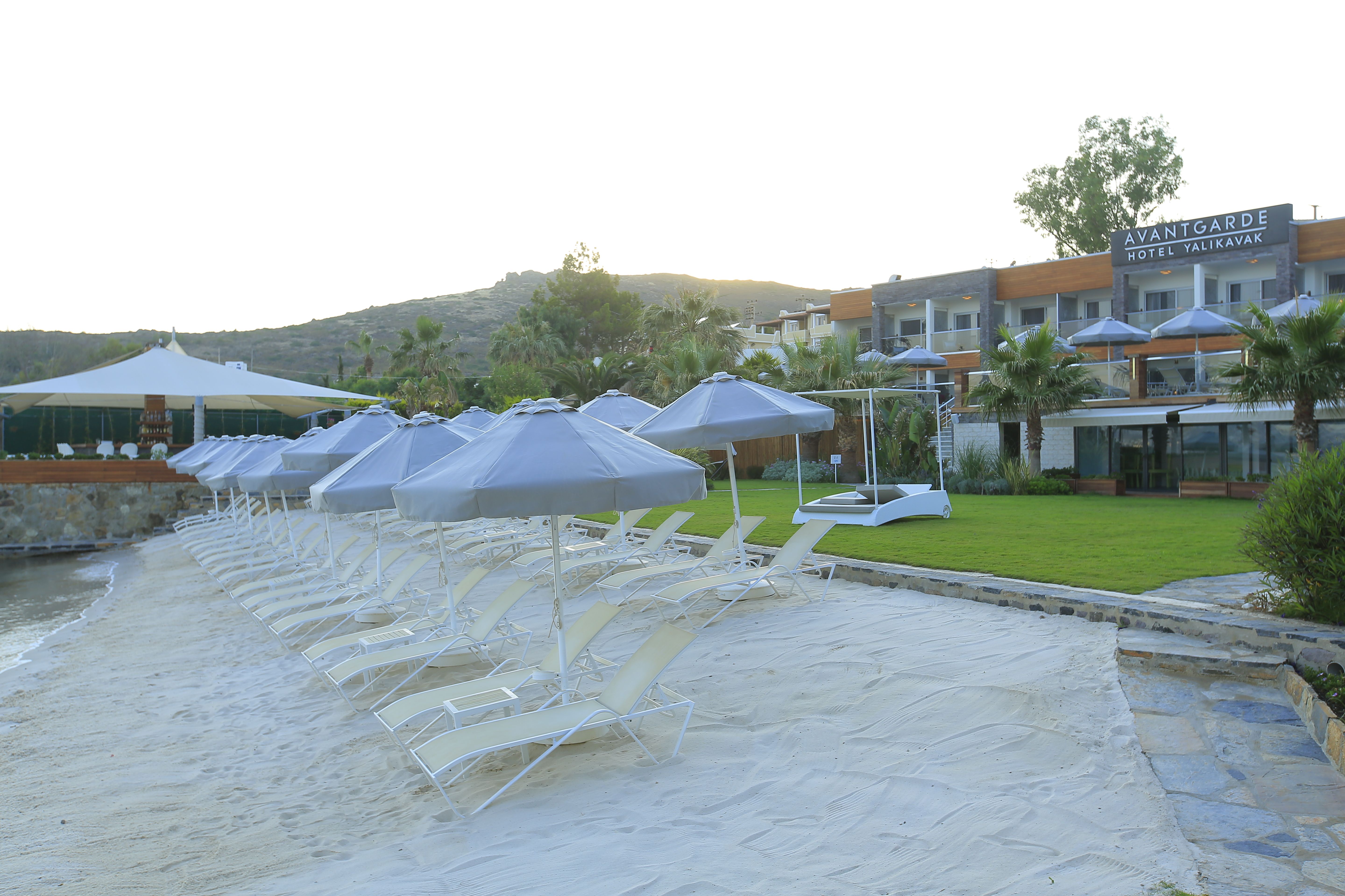 Plajă 