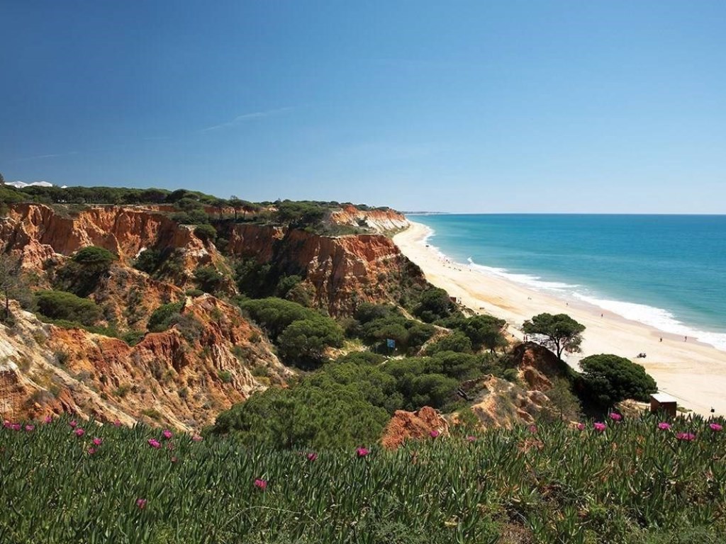 Plajă 