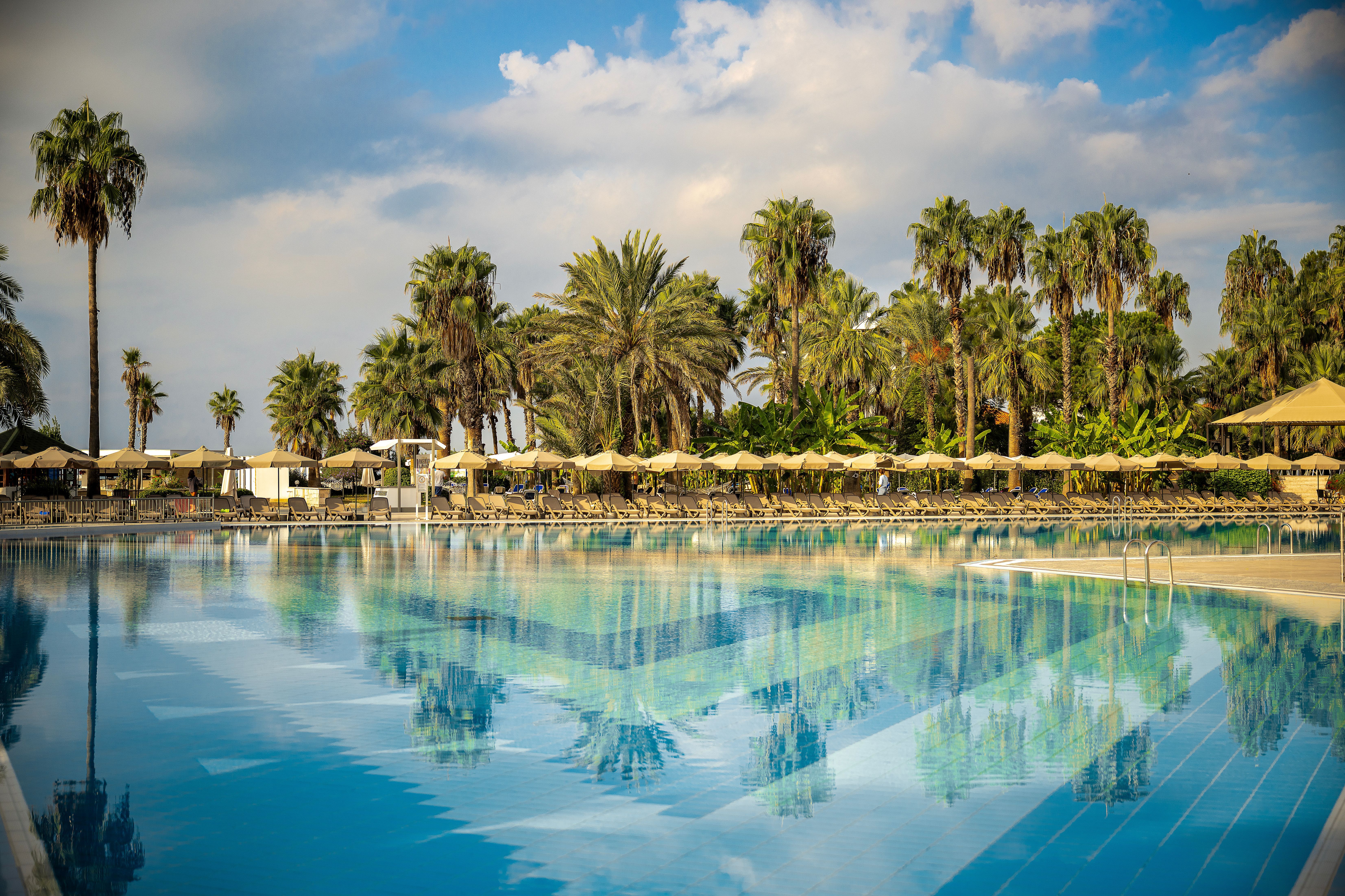 Piscina deschisă