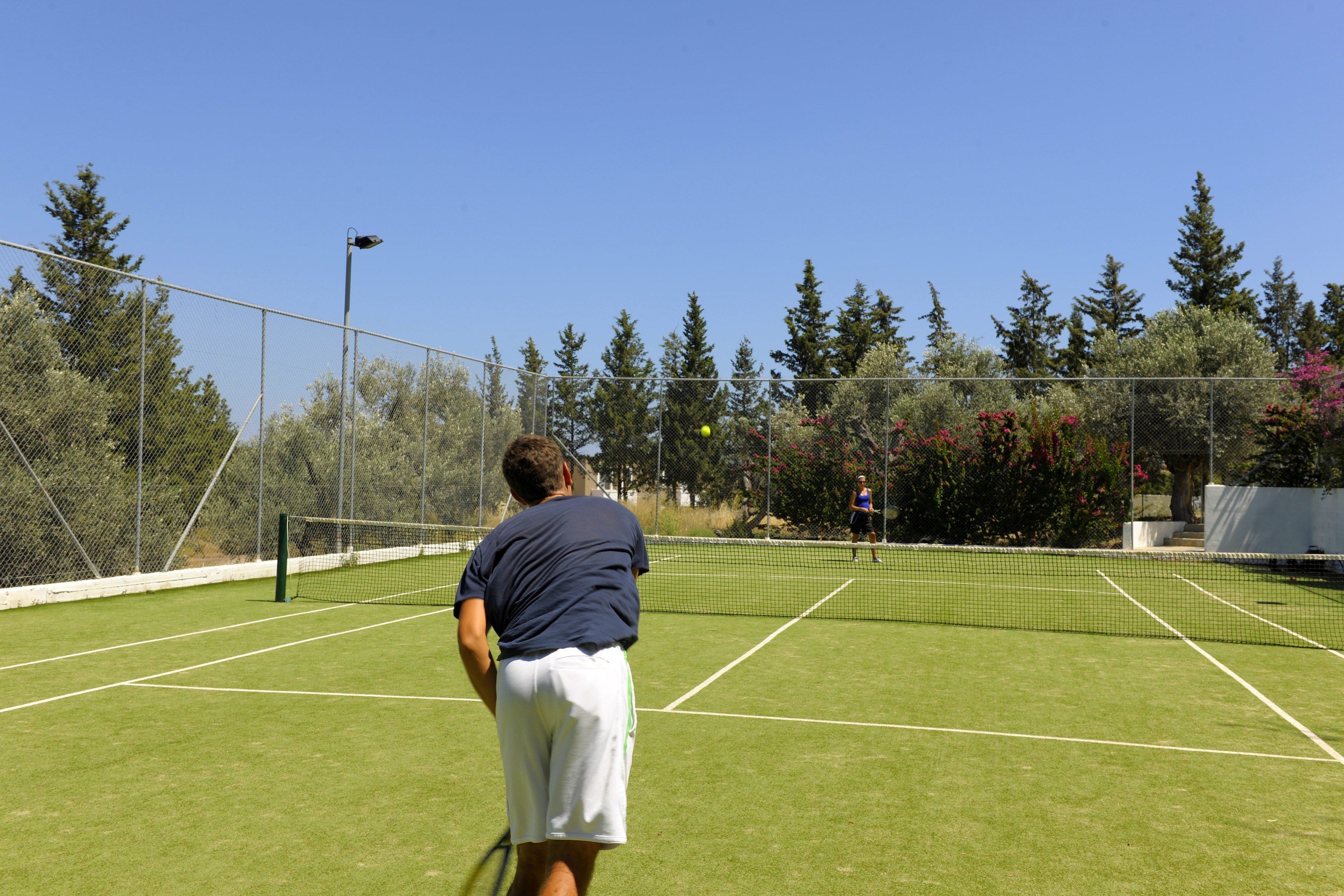 Sport