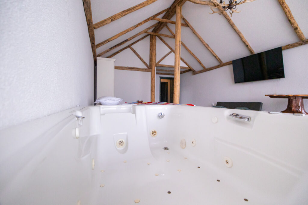 Cameră King cu jacuzzi (Ragnar)