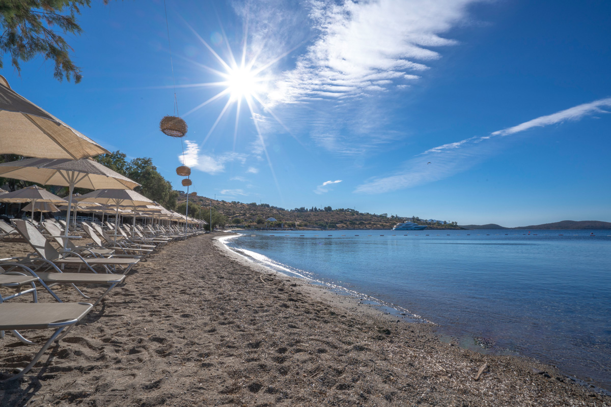 Plajă 