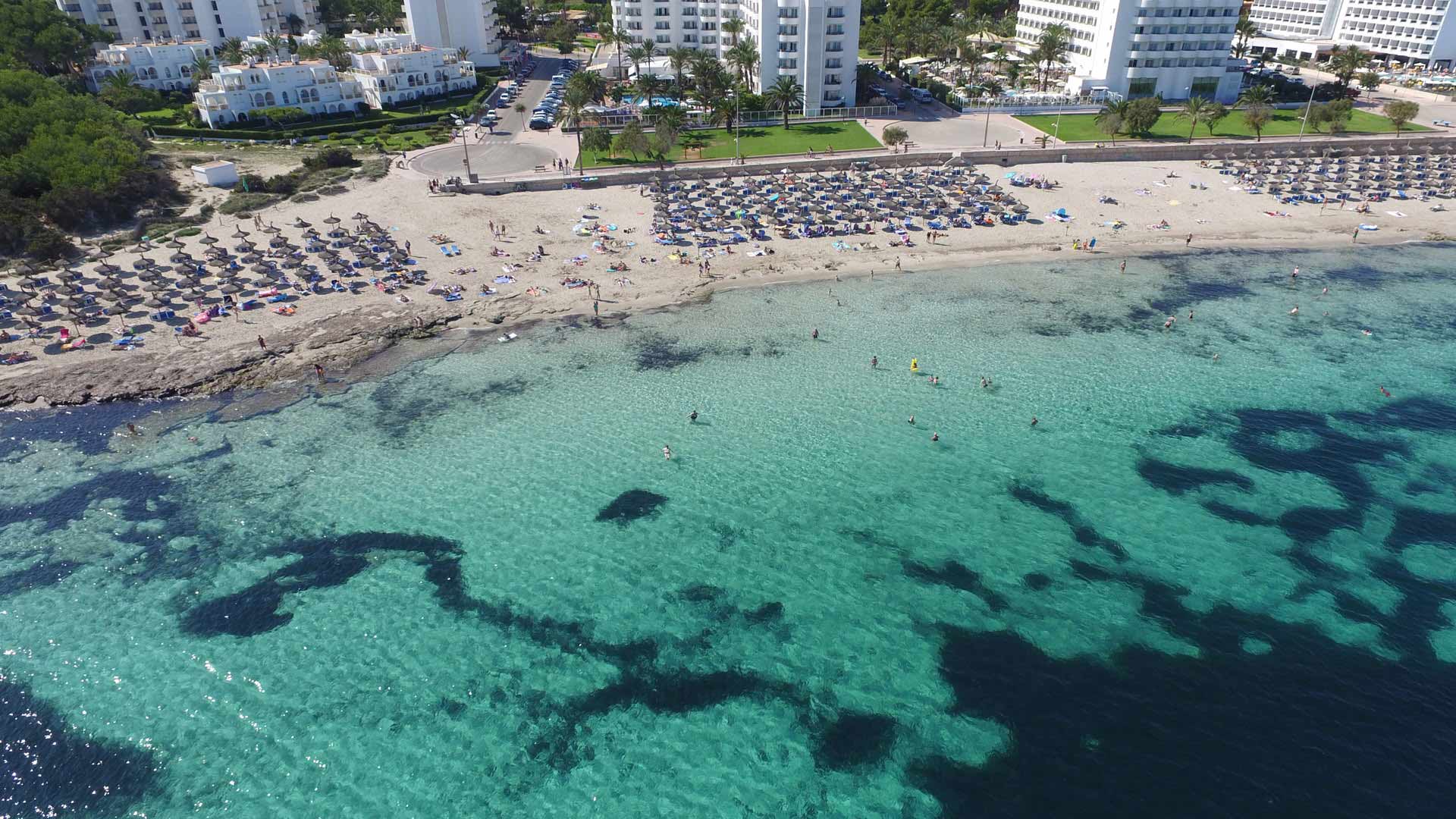 Plajă 