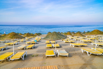 Plajă 