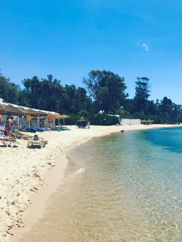Plajă 