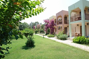 Garden (4).JPG