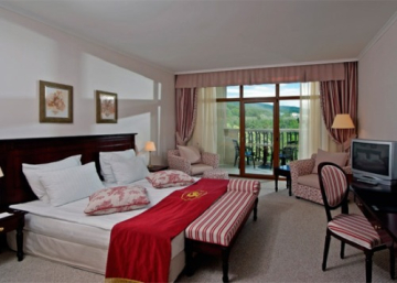 Hotel Melia Grand Hermitage camera.jpg