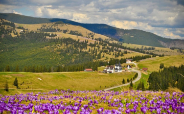 YIpdeTkq_pasul-prislop_1.jpg